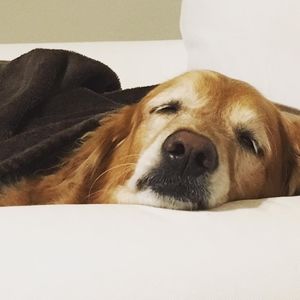 Meet your Posher, Mona